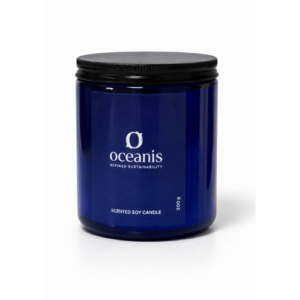 10 SCENTED SOY CANDLE